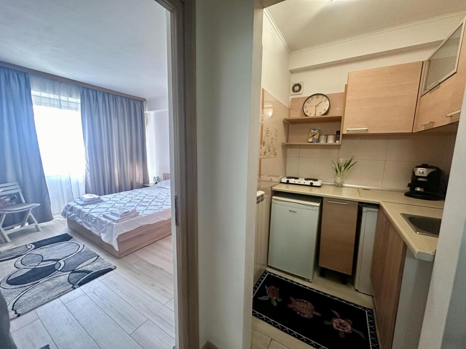 Downtown Studio Calea Victoriei Ultracentral 부쿠레슈티 외부 사진